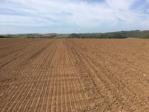 Drilling the Crops at Trelonk Farm 