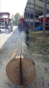 Timber being sawn - Panther Project